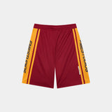 Marin Golden Mesh Shorts Shorts Eme Studios