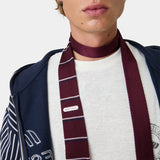 Trad Stripped Wine Tie Accesories Eme Studios